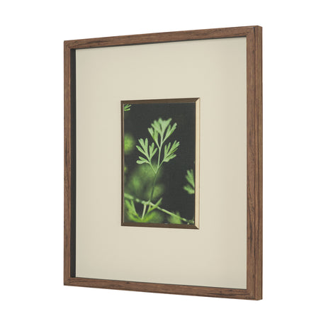 Green Growth by Michael Banks a Hand Embellished Framed Photo Art Print Matted under Glass from Mercana - Luna Furniture