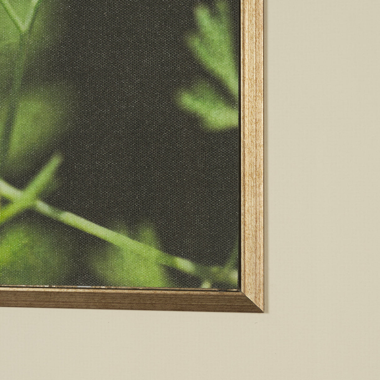 Green Growth by Michael Banks a Hand Embellished Framed Photo Art Print Matted under Glass from Mercana - Luna Furniture
