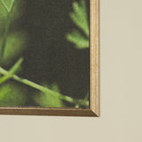 Green Growth by Michael Banks a Hand Embellished Framed Photo Art Print Matted under Glass from Mercana - Luna Furniture