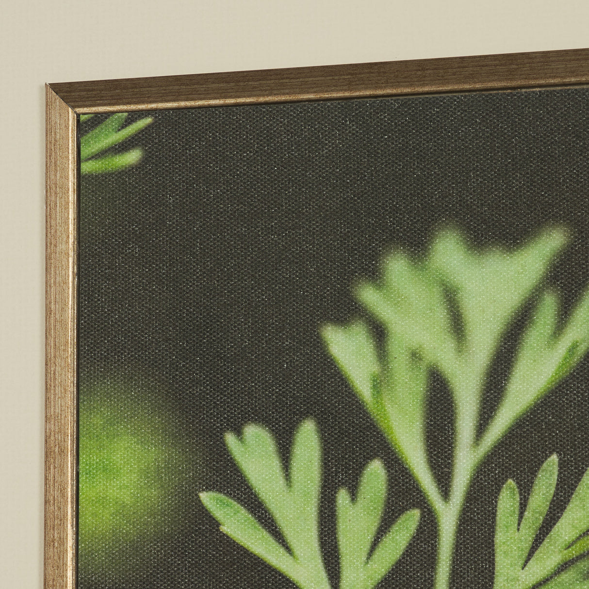 Green Growth by Michael Banks a Hand Embellished Framed Photo Art Print Matted under Glass from Mercana - Luna Furniture