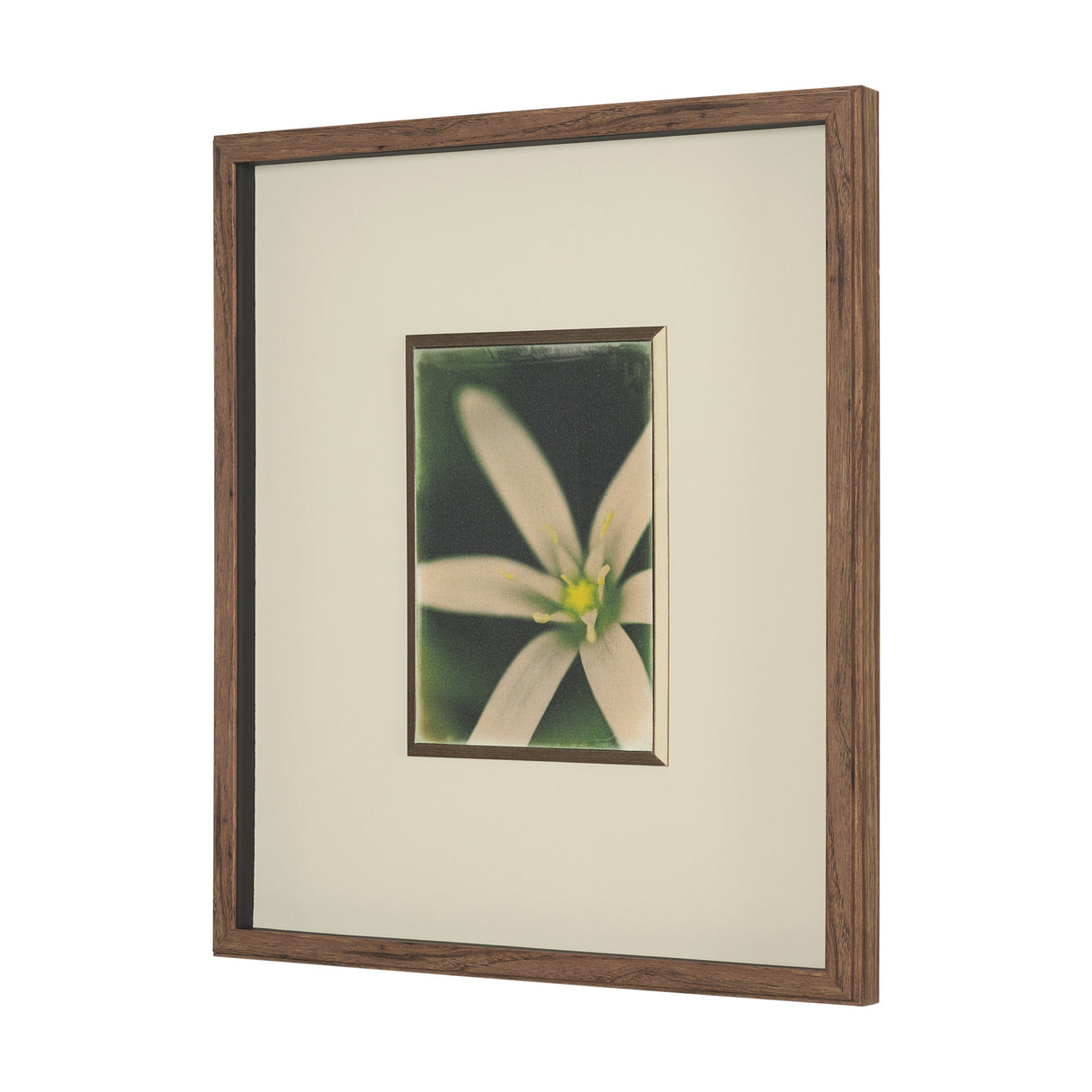 Floral Finesse by Michael Banks a Hand Embellished Framed Photo Art Print Matted under Glass from Mercana - Luna Furniture