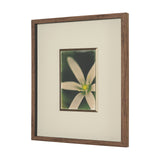 Floral Finesse by Michael Banks a Hand Embellished Framed Photo Art Print Matted under Glass from Mercana - Luna Furniture
