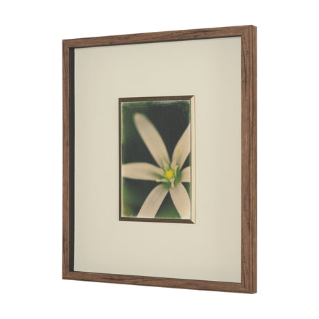 Floral Finesse by Michael Banks a Hand Embellished Framed Photo Art Print Matted under Glass from Mercana - Luna Furniture