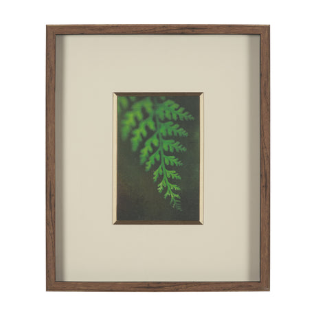 Leaf Charm by Michael Banks a Hand Embellished Framed Photo Art Print Matted under Glass from Mercana - Luna Furniture