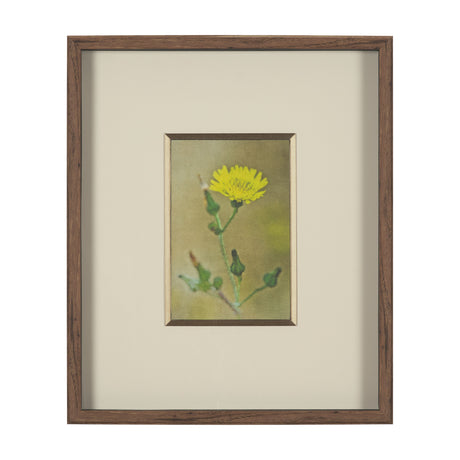 Floral Bliss by Michael Banks a Hand Embellished Framed Photo Art Print Matted under Glass from Mercana - Luna Furniture