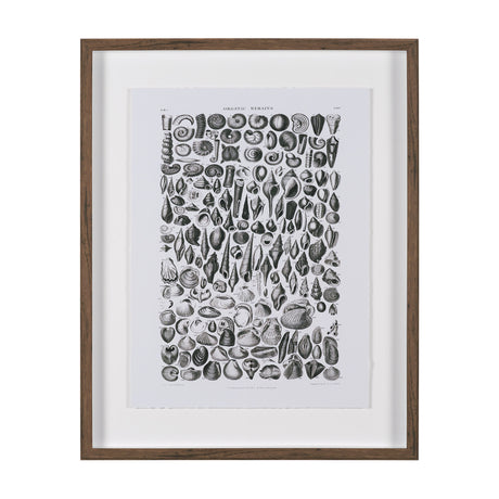 Sealife II by Oliver Goldsmith a Hand Embellished Framed Art Print Matted under Glass from Mercana - Luna Furniture
