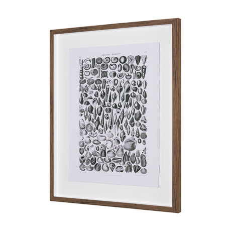 Sealife II by Oliver Goldsmith a Hand Embellished Framed Art Print Matted under Glass from Mercana - Luna Furniture