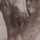 Portrait of a Thoroughbred I by Mercana Studio a Framed Art Print Matted under Glass from Mercana - Luna Furniture