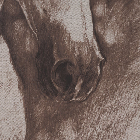 Portrait of a Thoroughbred I by Mercana Studio a Framed Art Print Matted under Glass from Mercana - Luna Furniture