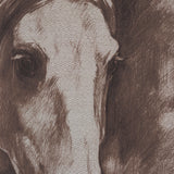 Portrait of a Thoroughbred I by Mercana Studio a Framed Art Print Matted under Glass from Mercana - Luna Furniture