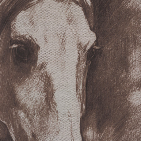 Portrait of a Thoroughbred I by Mercana Studio a Framed Art Print Matted under Glass from Mercana - Luna Furniture