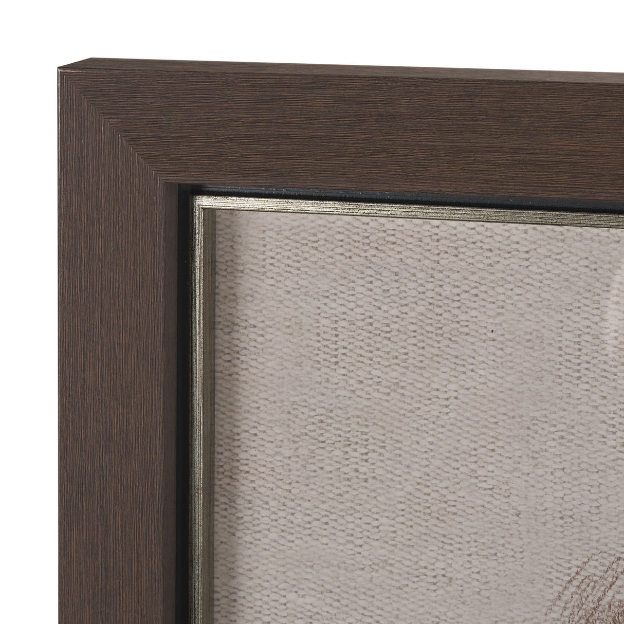 Portrait of a Thoroughbred II by Mercana Studio a Framed Art Print Matted under Glass from Mercana - Luna Furniture