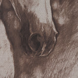 Portrait of a Thoroughbred II by Mercana Studio a Framed Art Print Matted under Glass from Mercana - Luna Furniture