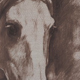 Portrait of a Thoroughbred II by Mercana Studio a Framed Art Print Matted under Glass from Mercana - Luna Furniture