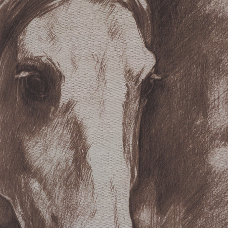 Portrait of a Thoroughbred II by Mercana Studio a Framed Art Print Matted under Glass from Mercana - Luna Furniture