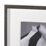 Horse Harmony - Nuzzle by Laura Warren a Hand Embellished Framed Photo Art Print Matted under Glass from Mercana - Luna Furniture