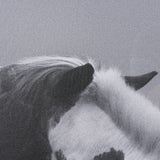 Horse Harmony - Nuzzle by Laura Warren a Hand Embellished Framed Photo Art Print Matted under Glass from Mercana - Luna Furniture