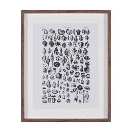 Sealife III by Oliver Goldsmith a Hand Embellished Framed Art Print Matted under Glass from Mercana - Luna Furniture