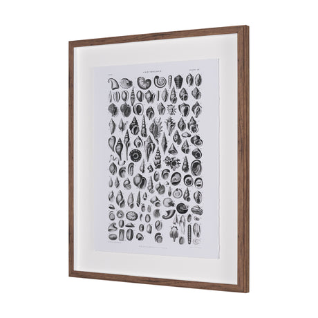 Sealife III by Oliver Goldsmith a Hand Embellished Framed Art Print Matted under Glass from Mercana - Luna Furniture