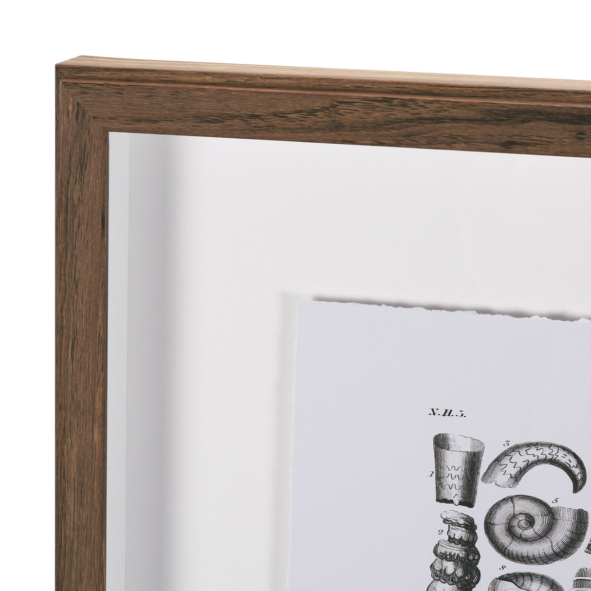 Sealife III by Oliver Goldsmith a Hand Embellished Framed Art Print Matted under Glass from Mercana - Luna Furniture