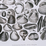 Sealife III by Oliver Goldsmith a Hand Embellished Framed Art Print Matted under Glass from Mercana - Luna Furniture