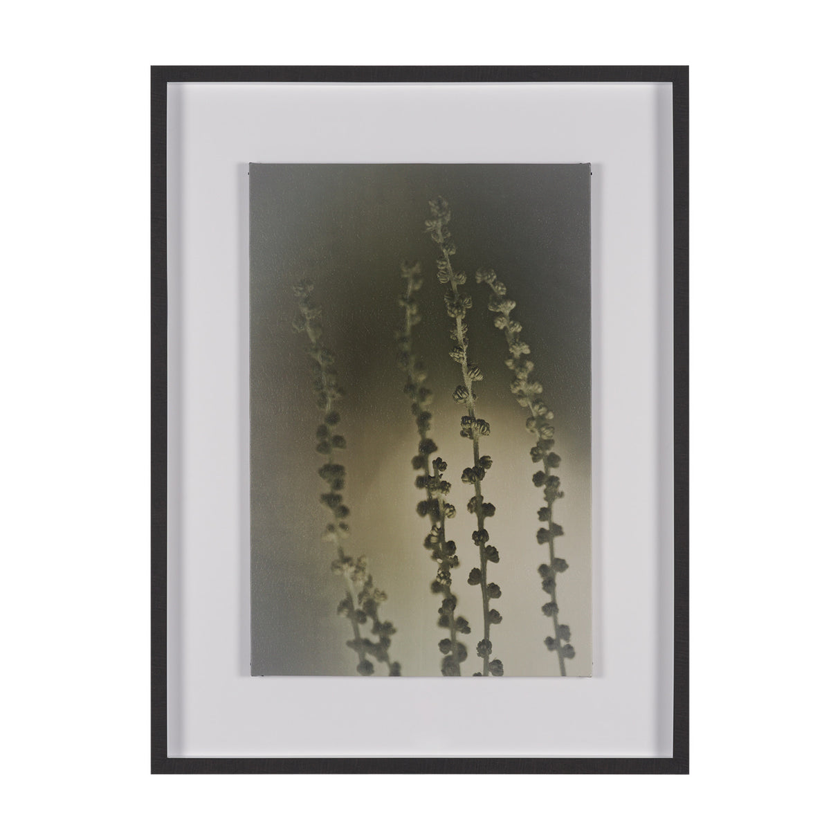 Hanging Delight by Michael Banks a Hand Embellished Framed Photo Art Print Matted under Glass from Mercana - Luna Furniture