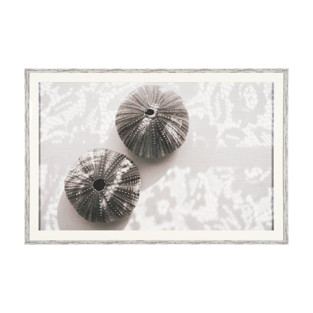 Urchins in Lace I by Deborah Revell a Hand Embellished Framed Print under Glass from Mercana - Luna Furniture