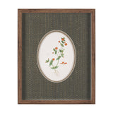 Anagallis Arvensis Flowers by Pierre Joseph Redoute a Hand Embellished Framed Print under Glass from Mercana - Luna Furniture