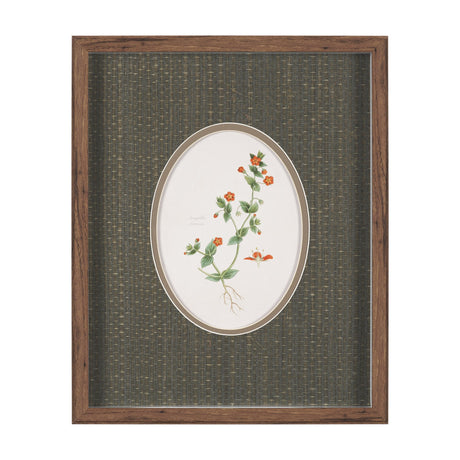 Anagallis Arvensis Flowers by Pierre Joseph Redoute a Hand Embellished Framed Print under Glass from Mercana - Luna Furniture