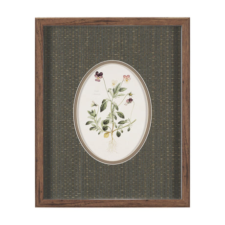 Viola Arvensis Flowers by Pierre Joseph Redoute a Hand Embellished Framed Print under Glass from Mercana - Luna Furniture