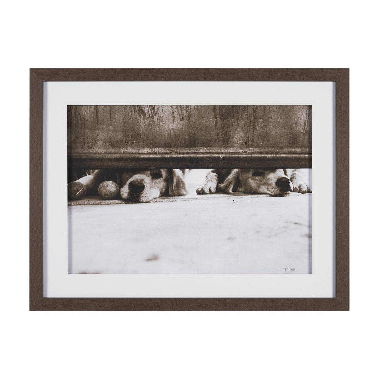 We See You Dogs by Jim Dratfield Framed Photo Print under Glass from Mercana - Luna Furniture