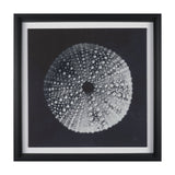 Urchin Still Life I by Nathan Larson a Hand Embellished Framed Photo Art Print Matted under Glass from Mercana - Luna Furniture