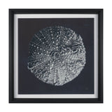 Urchin Still Life II by Nathan Larson a Hand Embellished Framed Photo Art Print Matted under Glass from Mercana - Luna Furniture