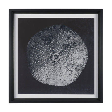 Urchin Still Life III by Nathan Larson a Hand Embellished Framed Photo Art Print Matted under Glass from Mercana - Luna Furniture