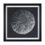 Urchin Still Life IV by Nathan Larson a Hand Embellished Framed Photo Art Print Matted under Glass from Mercana - Luna Furniture