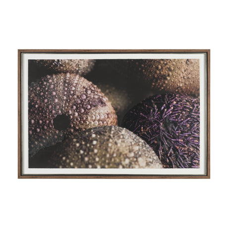 Purple Sea Urchins by Nathan Larson a Hand Embellished Framed Photo Art Print Matted under Glass from Mercana - Luna Furniture