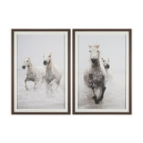 Determination Horse(Set of 2) by Irene Sucocki a Hand Embellished Framed Art Photo Print under Glass from Mercana - Luna Furniture