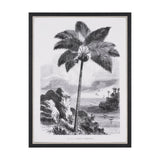 Vintage Palm Tree Drawing I by Les Palmiers Histoire Embellished Textured Framed Canvas from Mercana - Luna Furniture