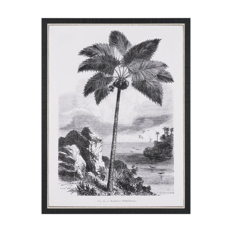 Vintage Palm Tree Drawing I by Les Palmiers Histoire Embellished Textured Framed Canvas from Mercana - Luna Furniture