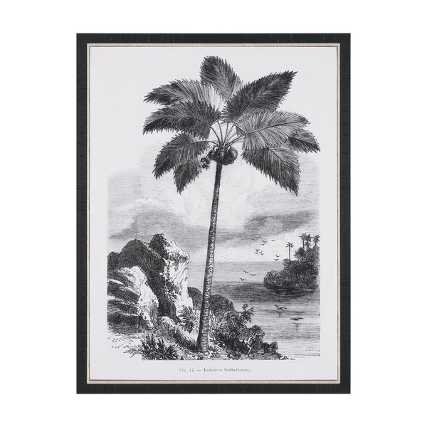Vintage Palm Tree Drawing I by Les Palmiers Histoire Embellished Textured Framed Canvas