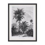 Vintage Palm Tree Drawing V by Les Palmiers Histoire a Hand Embellished Textured Framed Canvas from Mercana - Luna Furniture