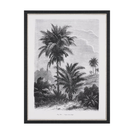 Vintage Palm Tree Drawing V by Les Palmiers Histoire a Hand Embellished Textured Framed Canvas from Mercana - Luna Furniture