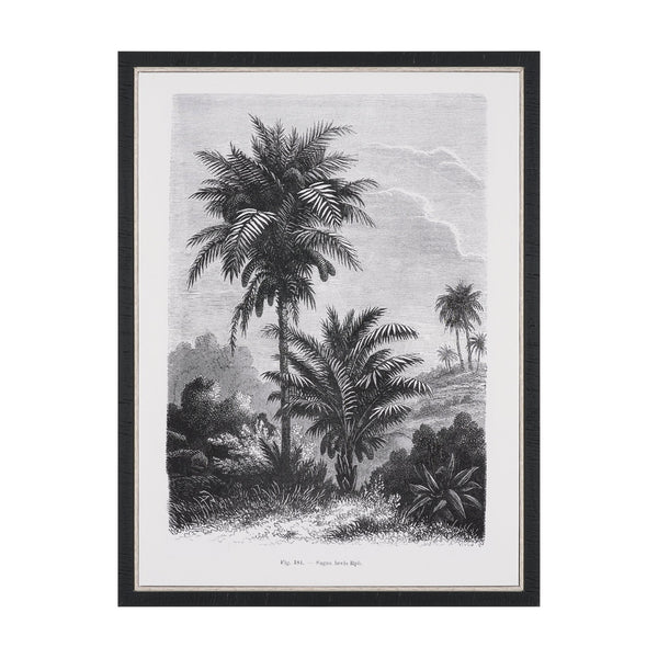 Vintage Palm Tree Drawing V by Les Palmiers Histoire a Hand Embellished Textured Framed Canvas