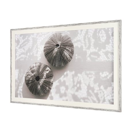Urchins in Lace I by Deborah Revell a Hand Embellished Framed Print under Glass from Mercana - Luna Furniture