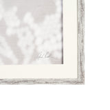 Urchins in Lace I by Deborah Revell a Hand Embellished Framed Print under Glass from Mercana - Luna Furniture