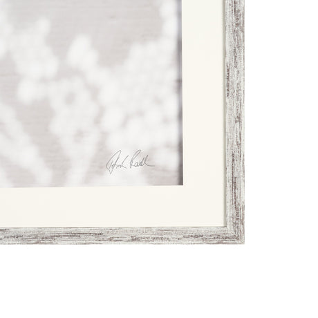 Urchins in Lace I by Deborah Revell a Hand Embellished Framed Print under Glass from Mercana - Luna Furniture