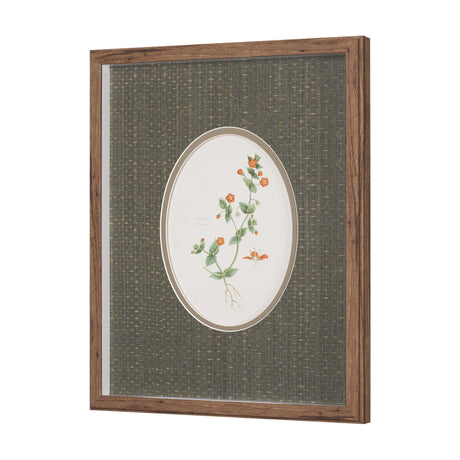 Anagallis Arvensis Flowers by Pierre Joseph Redoute a Hand Embellished Framed Print under Glass from Mercana - Luna Furniture