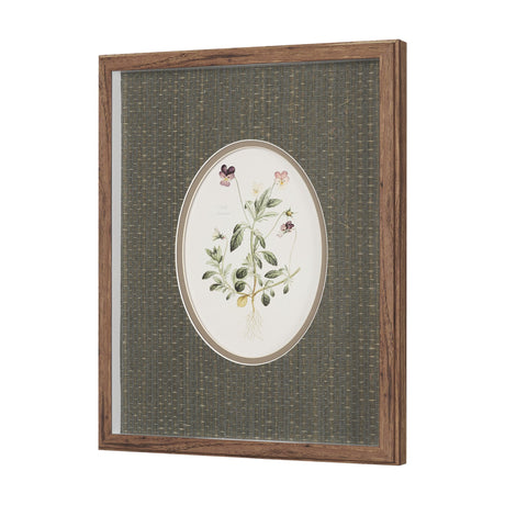 Viola Arvensis Flowers by Pierre Joseph Redoute a Hand Embellished Framed Print under Glass from Mercana - Luna Furniture