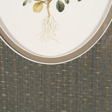 Viola Arvensis Flowers by Pierre Joseph Redoute a Hand Embellished Framed Print under Glass from Mercana - Luna Furniture