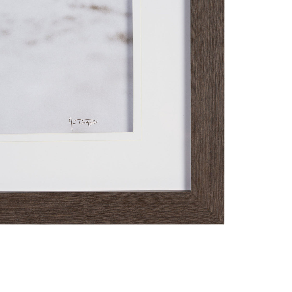 We See You Dogs by Jim Dratfield Framed Photo Print under Glass from Mercana - Luna Furniture